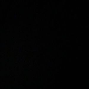 Meet your Posher, Sana